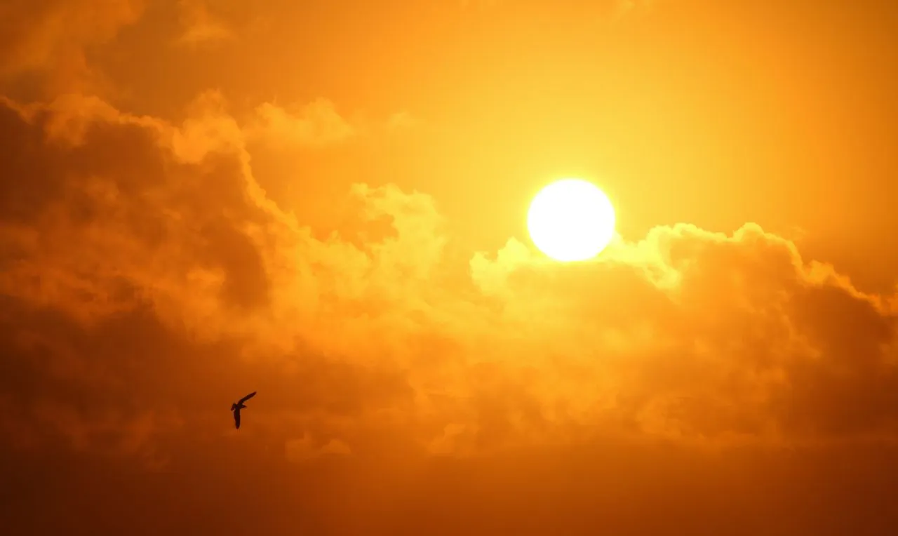 A imagem mostra a baixa umidade e o calor
